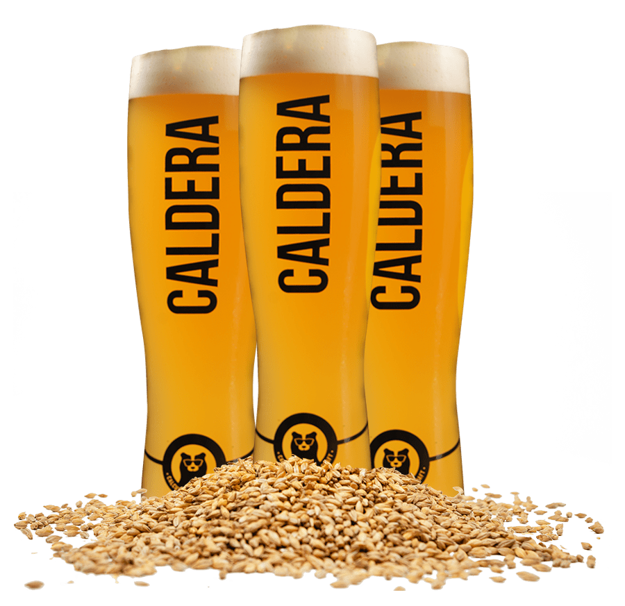 Caldera Calcuttas Finest Craft Beer